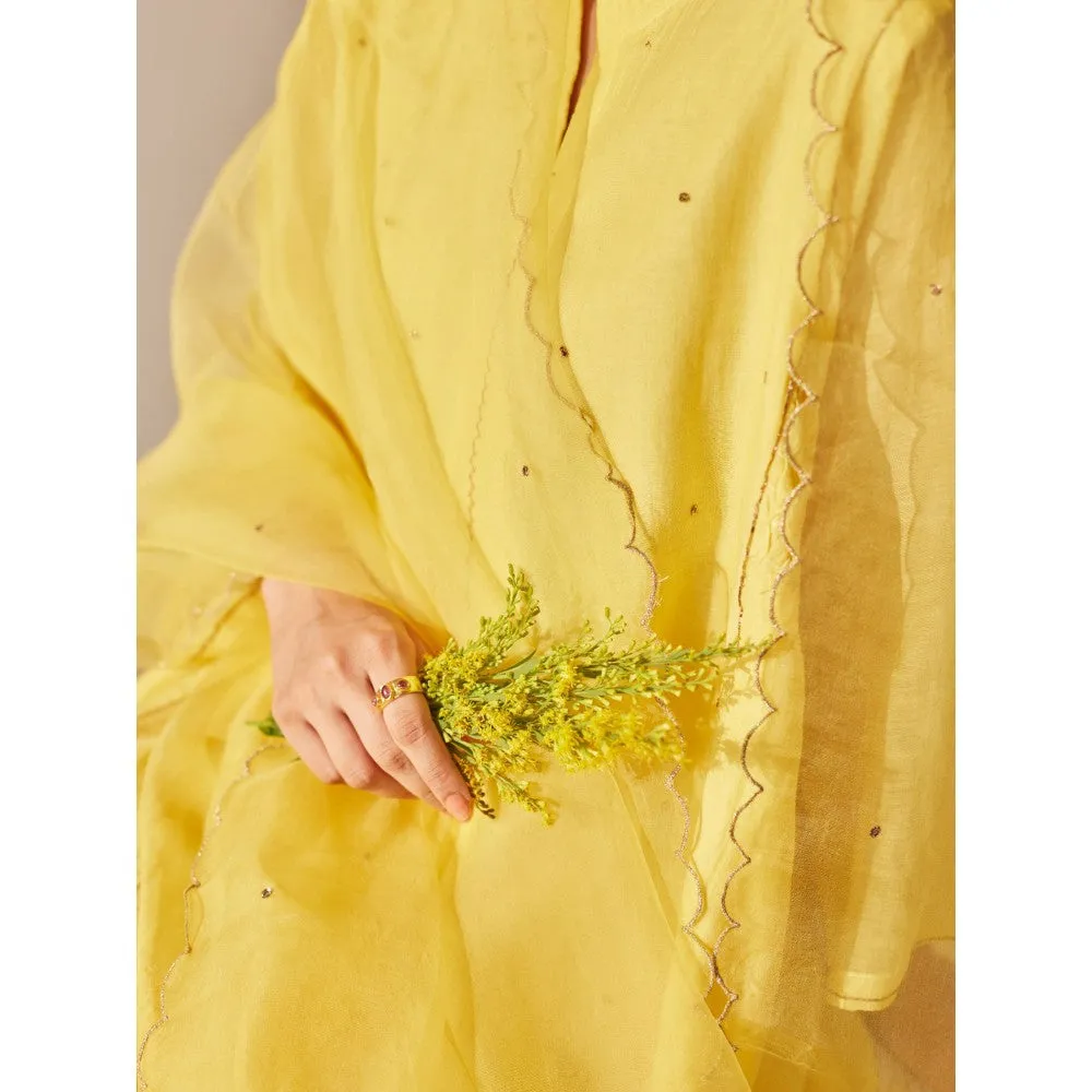 Juanita Yellow Handwoven Chanderi Kurta & Pant with Dupatta (Set of 3)