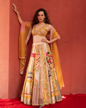 Multicolor Panel Lehenga Set