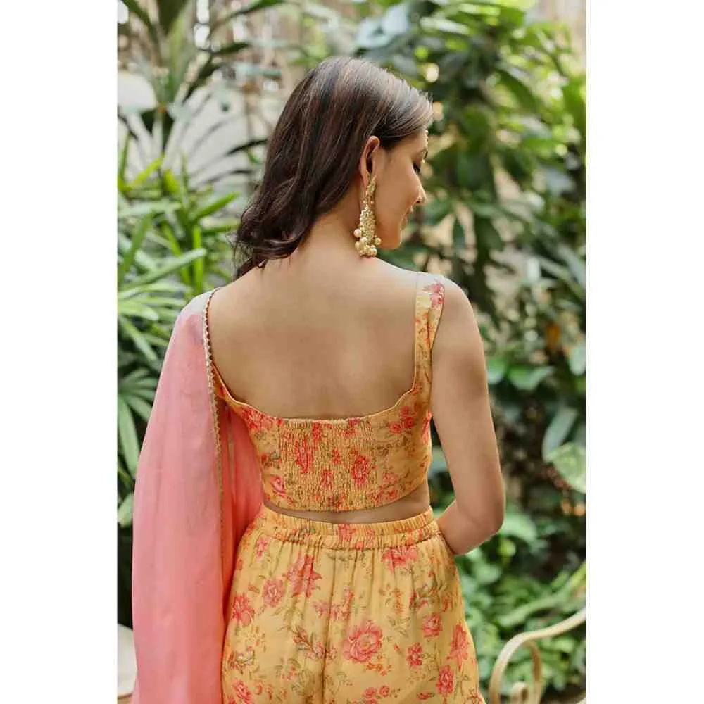 Roze Sana Sharara (Set of 3)