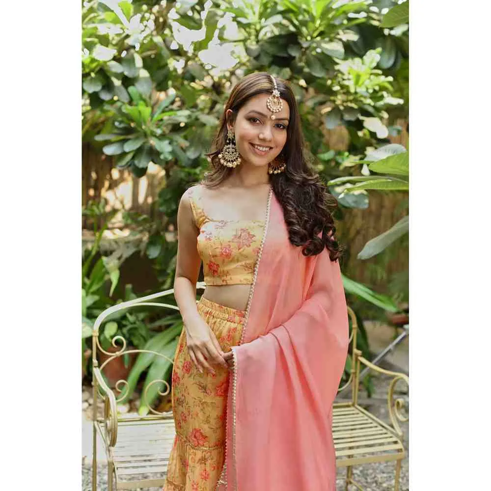 Roze Sana Sharara (Set of 3)